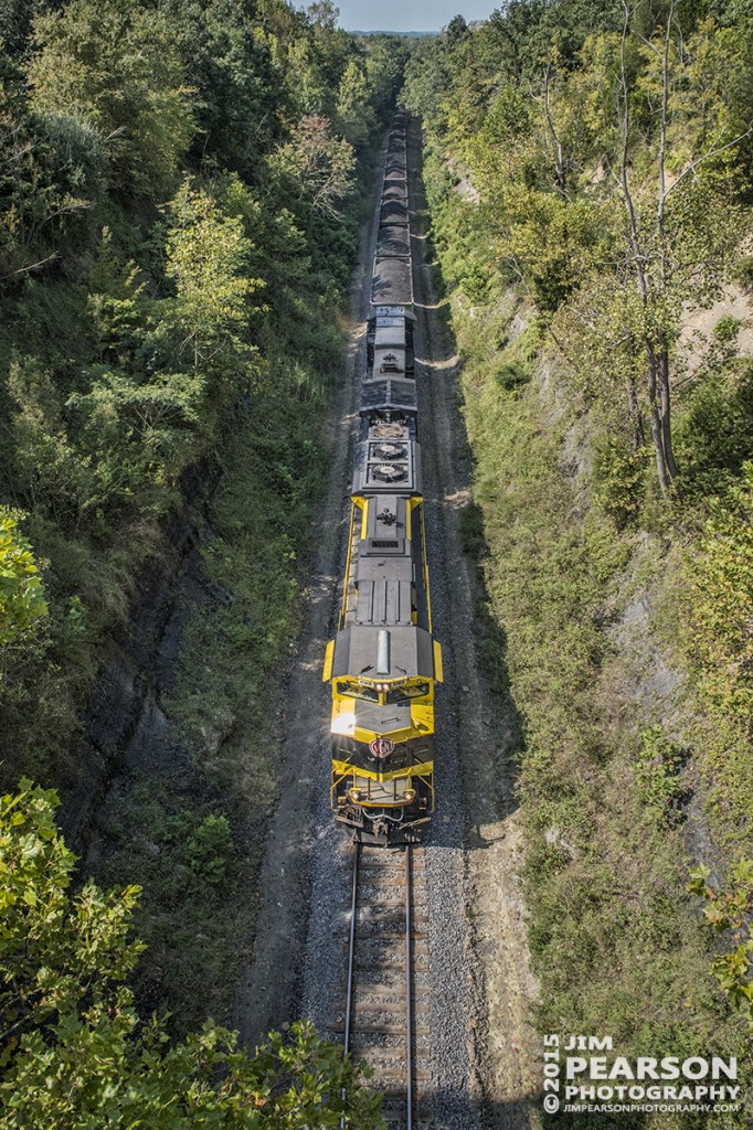 August 28, 2015 - A glint of sunlight reflects off Norfolk Southern's Heritage unit 1069, The Virginian, as it heads north just outside Rockport, Ky on the Paducah & Louisville Railway with it's loaded coal train.  Tech Info: 1/1250sec, f/13, ISO 4000, Lens: Sigma 24-70 @ 24mm with a Nikon D800 shot and processed in RAW.