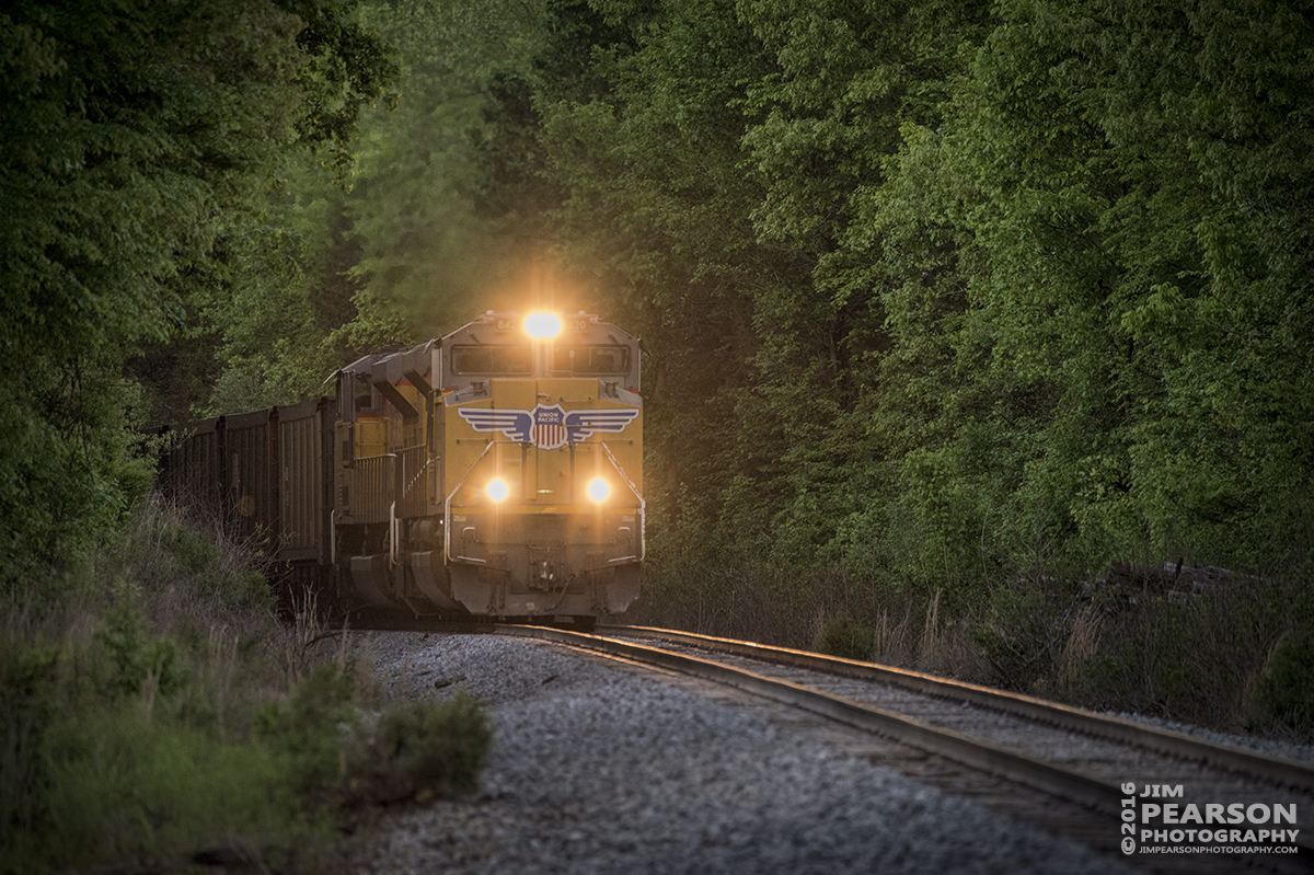 May 3, 2016 - A Union Pacific loaded coke train rounds a curve as it approaches the Earlington Road crossing at Richland, Ky on the Paducah and Louisville Railway as it heads south to Calvert City, Ky to drop off its load. - Tech Info: 1/640 | f/6 | ISO 4000 | Lens: Sigma 150-600 @ 480mm on a Nikon D800 shot and processed in RAW.