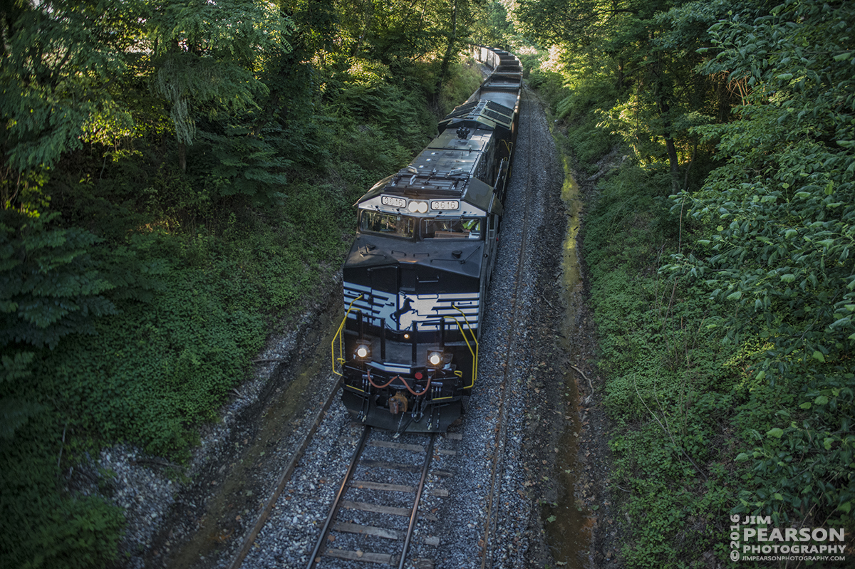 June 8, 2016  Paducah and Louisville Railway LSX1 pulls its Norfolk Southern Train down the Pee Vee Spur as it heads to Warrior Coal in Madisonville, Ky with a brand new 3616 Tier 4 ET44AC leading on its first revenue run. - Tech Info: 1/640 | f/2.8 | ISO 4000 | Lens: Sigma 24-70 @ 24mm with a Nikon D800 shot and processed in RAW.