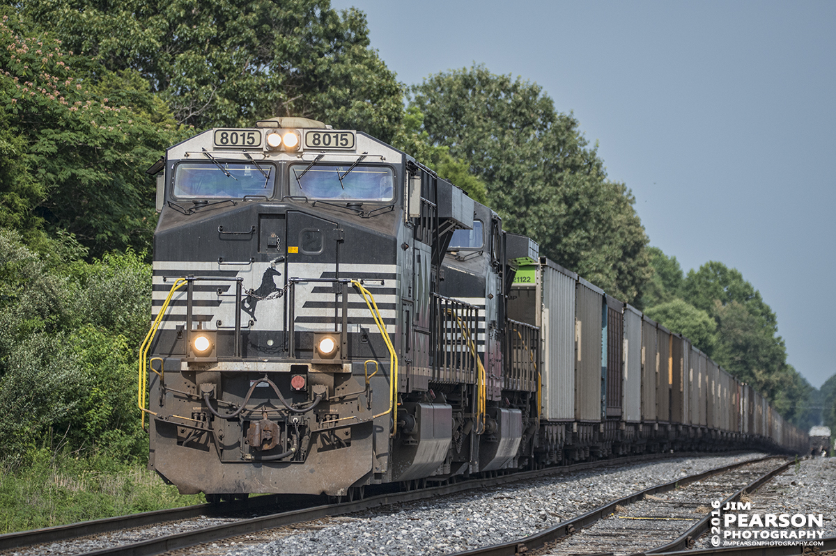 July 18, 2016  Norfolk Southern empty coal train, with 8015 leading, sits on the main at Paducah and Louisville Railways West Yard at Madisonville, Ky. They were waiting for a MOW worker to finish working on the Pee Vee Spur switch so they could head to Warrior coal to pickup their load. - Tech Info: 1/2500 | f/5.3 | ISO 560 | Lens: Sigma 150-600 @ 220mm with a Nikon D800 shot and processed in RAW.