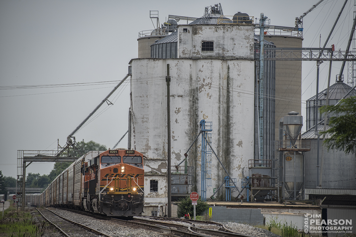 July 22, 2016  CSX empty intermodal Q230-22 heads north on the Mainline Subdivision as it passes the Perdue Grain & Oilseed  Grain Elevator at Franklin, Ky, with BNSF 8201 leading the way. - Tech Info: 1/1250 | f/5 | ISO 140 | Lens: Nikon 70-300 @ 170mm with a Nikon D800 shot and processed in RAW.