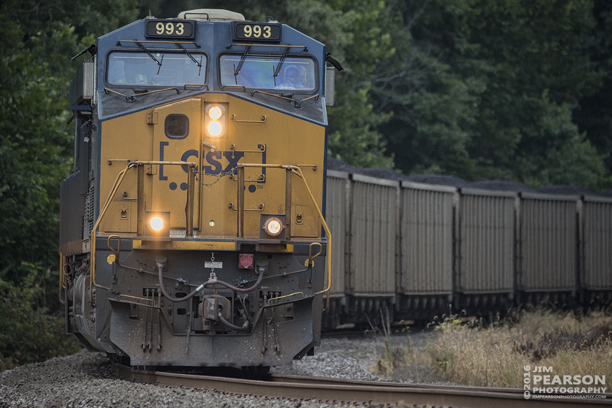 August 5, 2016  CSX loaded coal train N311-02 pulls off the Earlington Cutoff onto the main at Mortons Gap, Ky as it makes its way south on the Henderson Subdivision. - Tech Info: 1/3200 | f/6 | ISO 1800 | Lens: Sigma 150-600 @ 440mm with a Nikon D800 shot and processed in RAW.