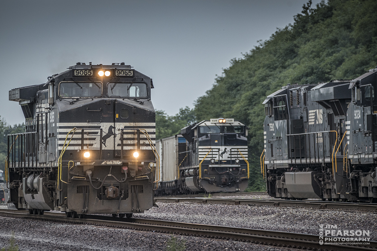 August 23, 2016 - Norfolk Southern 9065 heads east at the middle of the Princeton, Indiana yard, passing two loaded coal trains waiting to head out, as 9065 does yard duties.