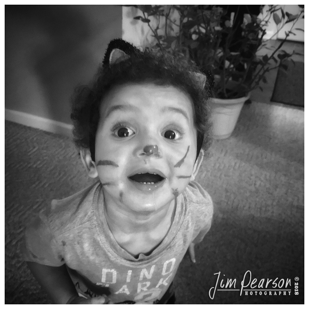 October 27, 2018 - Day 362 - iPhone 7 Plus Daily B/W Photo Challenge - Jeremiah the Cat - Today my niece Jeanne had her annual Halloween Party and Birthday party for my nephew Xavier and Jeremiah came as a cat! I just love this expression!!