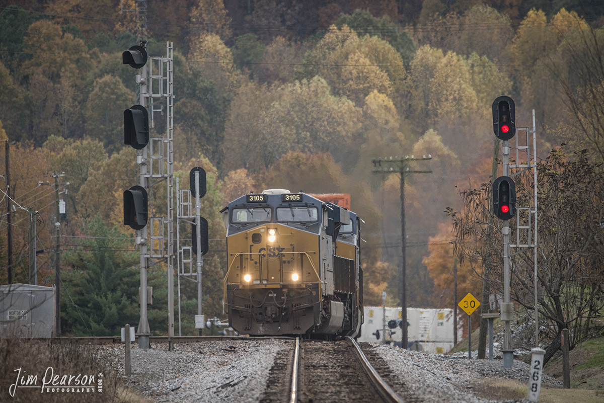 November 7, 2018 - With autumn in full glory, CSX intermodal Q028-06 (Atlanta, GA - Chicago, IL) takes the Earlington cutoff at Mortons Junction as CSXT 3105 leads it north on the Henderson Subdivision at Mortons Gap, Ky.- #jimstrainphotos #kentuckyrailroads #trains #nikond800 #railroad #railroads #train #railways #railway #csx #csxrailroad