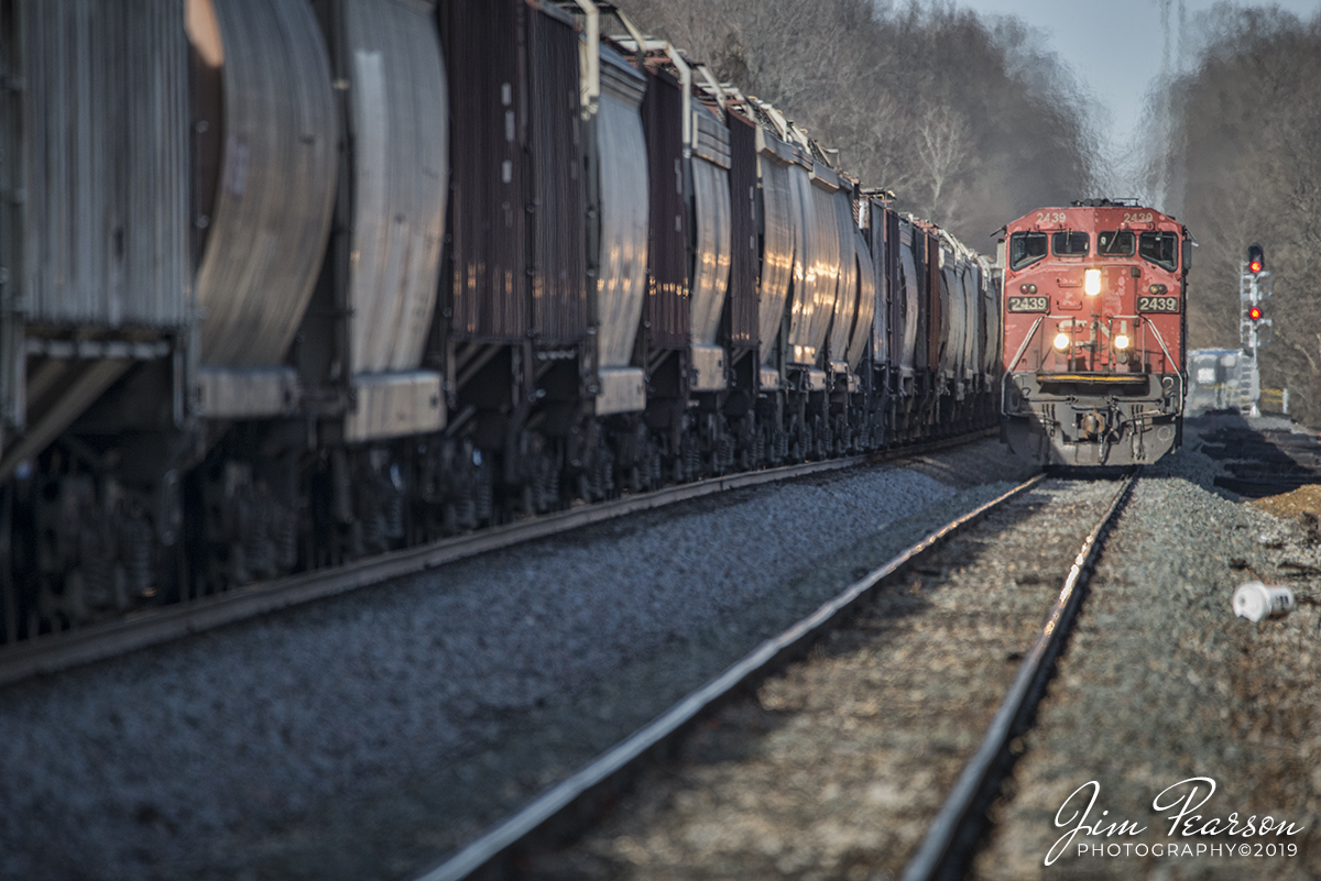 February 13, 2019 - CN 2439 leads a southbound grain train as it passes a northbound grain train east of Wingo, Ky on it's way to Fulton, Ky on CN's Bluford Subdivision.- #jimstrainphotos #kentuckyrailroads #trains #nikond800 #railroad #railroads #train #railways #railway #cn #cnrailway