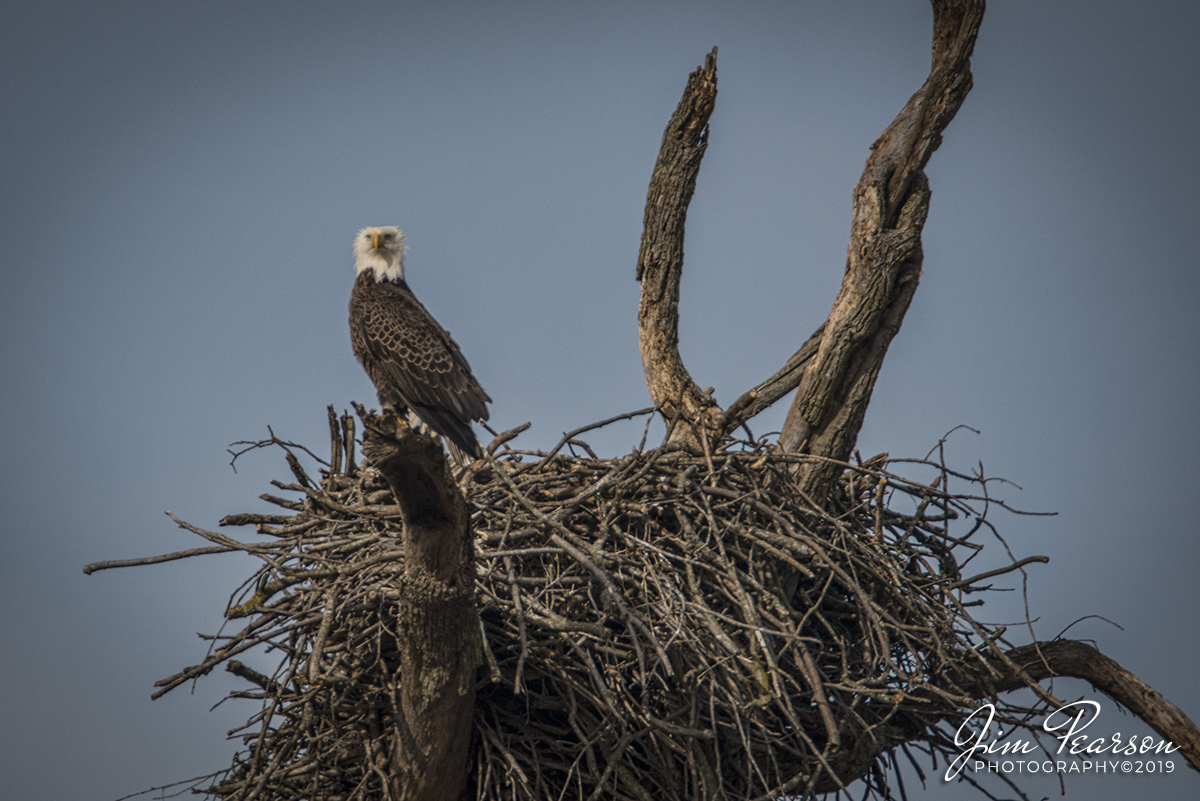 WEB-02.13.19 Eagles Nest 1, Grand Rivers, Ky