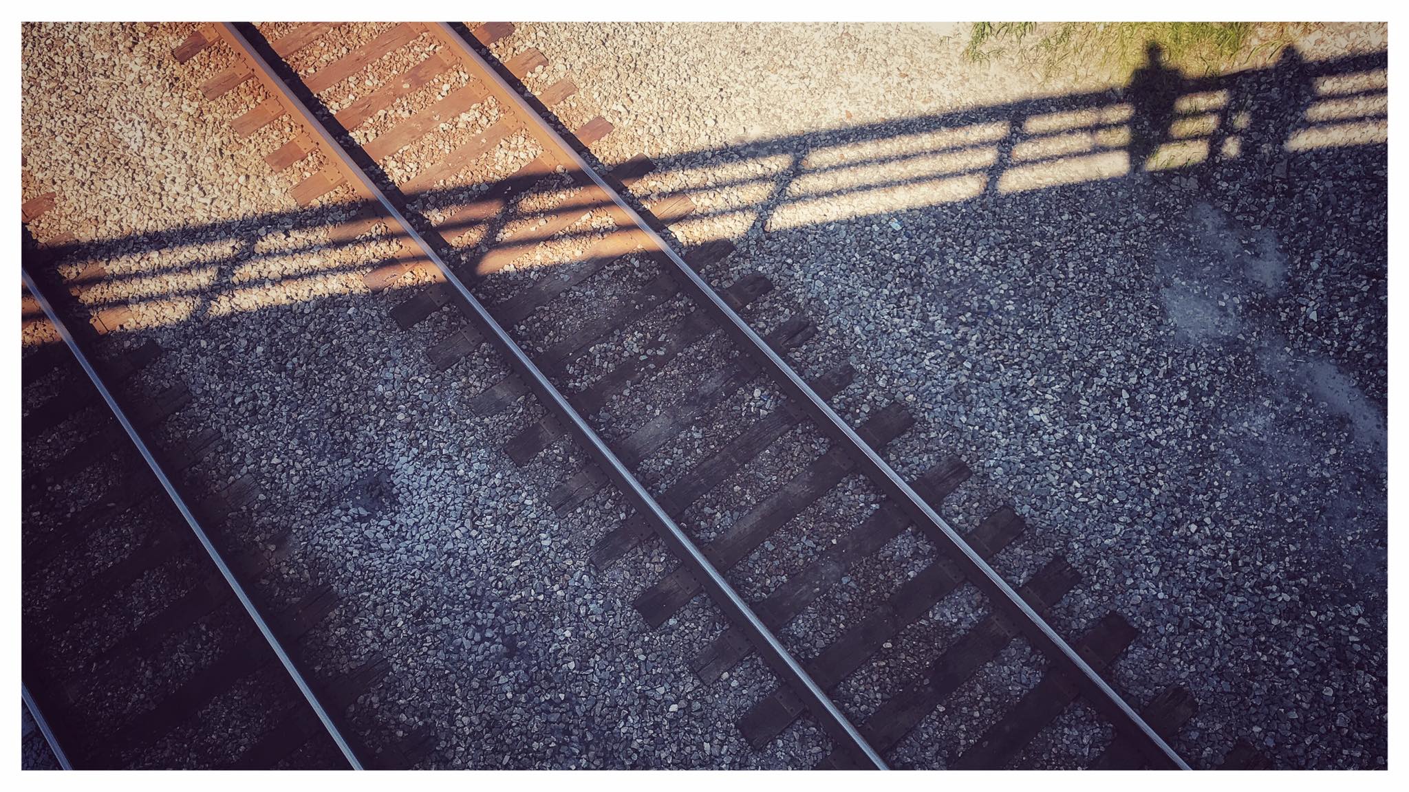 August 10, 2019 - Fellow railfan Ryan Scott and I cast shadows as we wait on a train north of Danville, Kentucky.