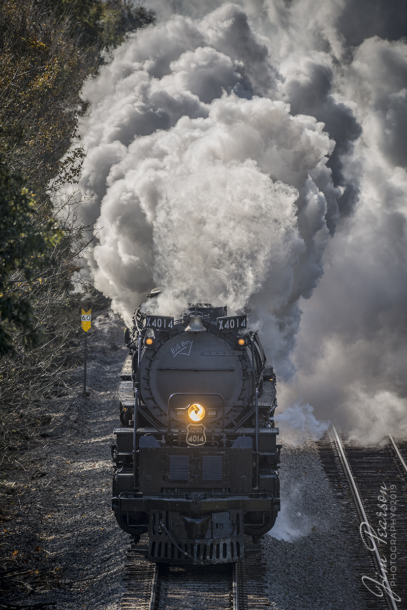 November 12, 2019 - Union Pacific's "Big Boy" 4014 puts out a huge plume of steam in the cold November air as it departs Hope, Arkansas and heads north on Union Pacific's Little Rock Subdivision on its way to Prescott, AR where it  tied down for the night. 

According to Wikipedia: The Union Pacific Big Boy is a type of simple articulated 4-8-8-4 steam locomotive manufactured by the American Locomotive Company between 1941 and 1944 and operated by the Union Pacific Railroad in revenue service until 1959.

The 25 Big Boy locomotives were built to haul freight over the Wasatch mountains between Ogden, Utah, and Green River, Wyoming. In the late 1940s, they were reassigned to Cheyenne, Wyoming, where they hauled freight over Sherman Hill to Laramie, Wyoming. They were the only locomotives to use a 4-8-8-4 wheel arrangement: four-wheel leading truck for stability entering curves, two sets of eight driving wheels and a four-wheel trailing truck to support the large firebox.

Eight Big Boys survive, most on static display at museums across the country. This one, No. 4014, was re-acquired by Union Pacific and restored to operating condition in 2019, regaining the title as the largest and most powerful operating steam locomotive in the world.
