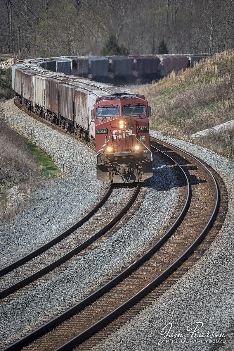 March 26, 2020 - Canadian Pacific 9814 leads CSX K815-25, an empty Phosphate train, through the S curve at Nortonville, Ky as it heads south on the Henderson Subdivision.