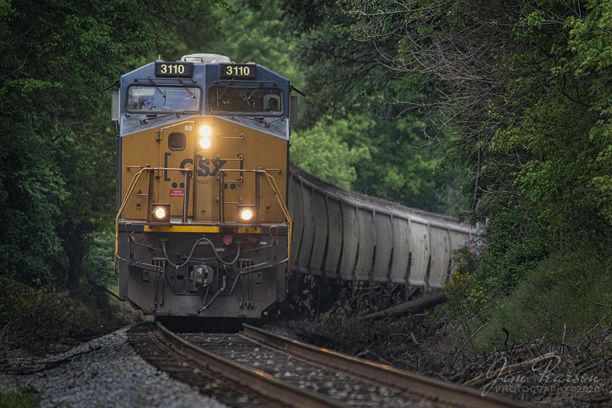 May 13, 2020 - CSX G695 heads south on the Memphis Subdivision at Trezvant, Tennessee with CSXT 3110 leading.

Tech Info:Nikon D800, RAW, Sigma 150-600 @ 600mm, 1/640 sec, f/6.3, ISO 200.