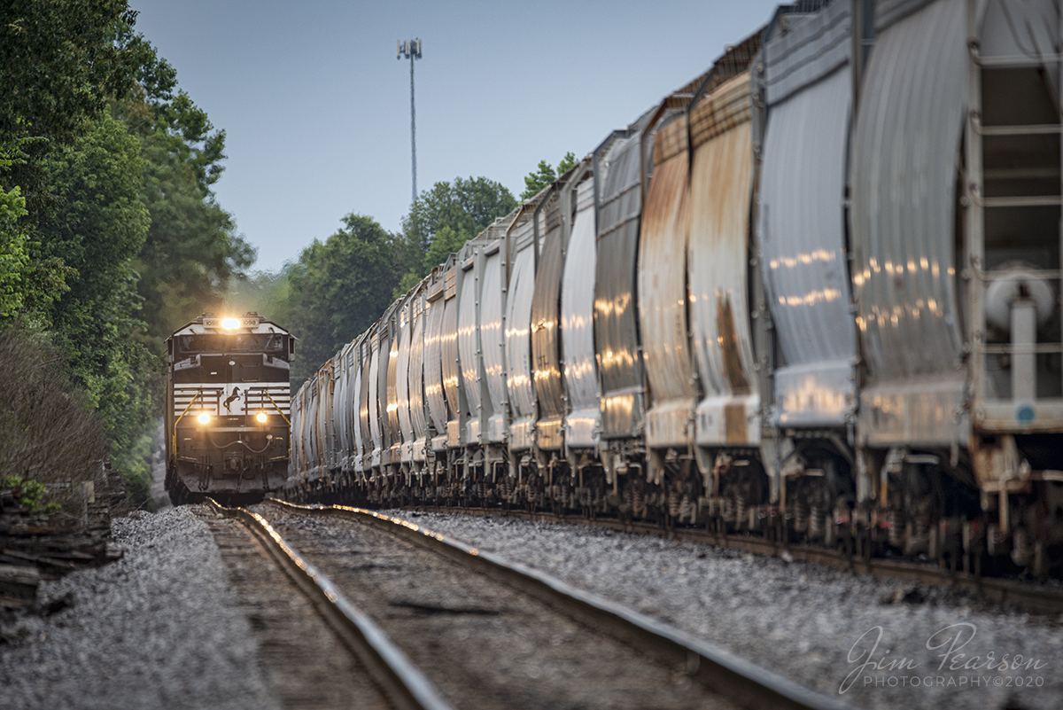 June 22, 2020 - Norfolk Southern locomotive 1098 leads empty coal train WYX1 past a string of empty grain cars at the Paducah and Louisville Railway yard at Madisonville, Kentucky as it heads for Warrior Coal Main in Nebo, Ky to pickup a load of coal..

Tech Info: Full Frame Nikon D800, RAW, Sigma 150-600 @ 600mm, f/6.3, ISO 400.