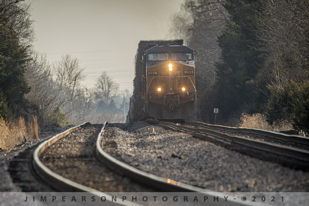 Making the climb at Kelly, Kentucky

I could hear the rumble of the train as it pulled hard upgrade coming north at Kelly, Kentucky before CSXT 293 crested the top of the rise as it headed up CSX Q512-13 on the Henderson Subdivision, making for this nice long lens shot (700mm) on a cold late winter afternoon in Western Kentucky. The long lens exaggerates the wavy look of the tracks.

Tech Info: Nikon D800, RAW, Sigma 150-600 with a 1.4 teleconverter @700mm f/10, 1/1250, ISO 1400.