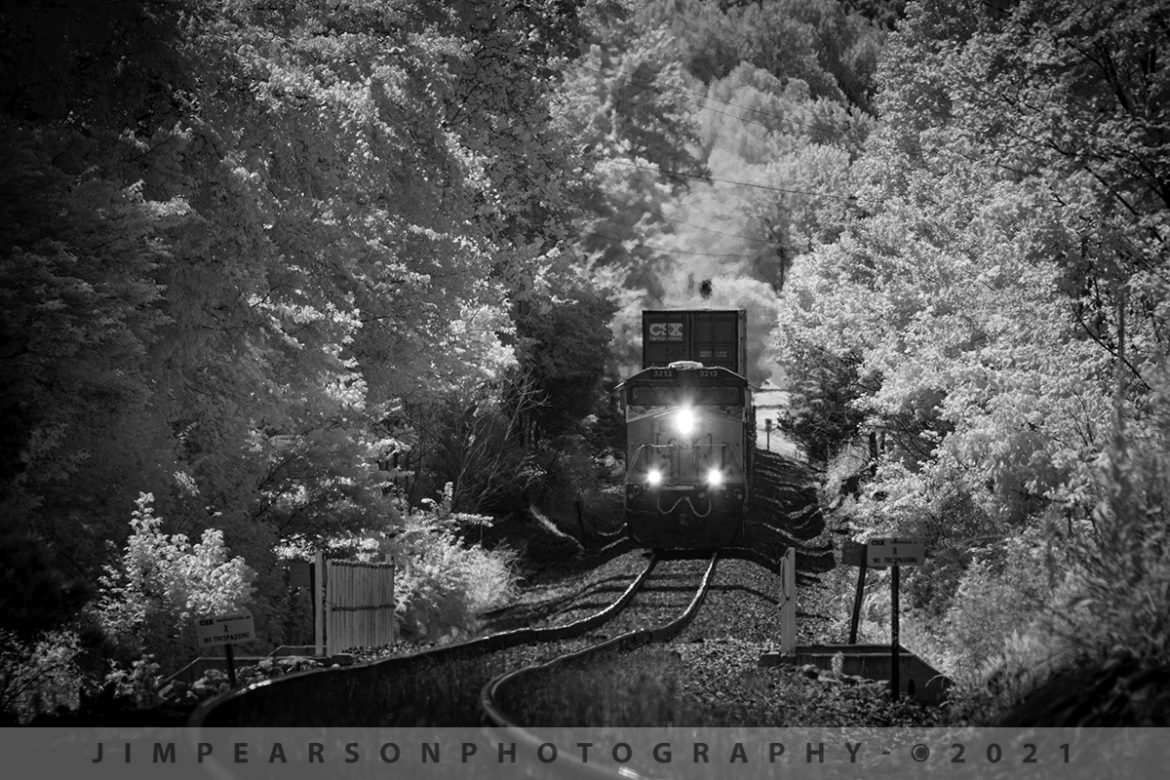 CSX Q028 heads north from Mortons Gap, KY

CSXT 3213 snakes its way through the valley after passing through Mortons Junction on June 16th, 2021 as it heads north on the Henderson Subdivision at Mortons Gap, Kentucky with its hot intermodal train.

Tech Info: Fuji XT-1, RAW, Converted to 720nm B&W IR, Nikon 70-300 @ 300mm, f/8, 1/500, ISO 800.