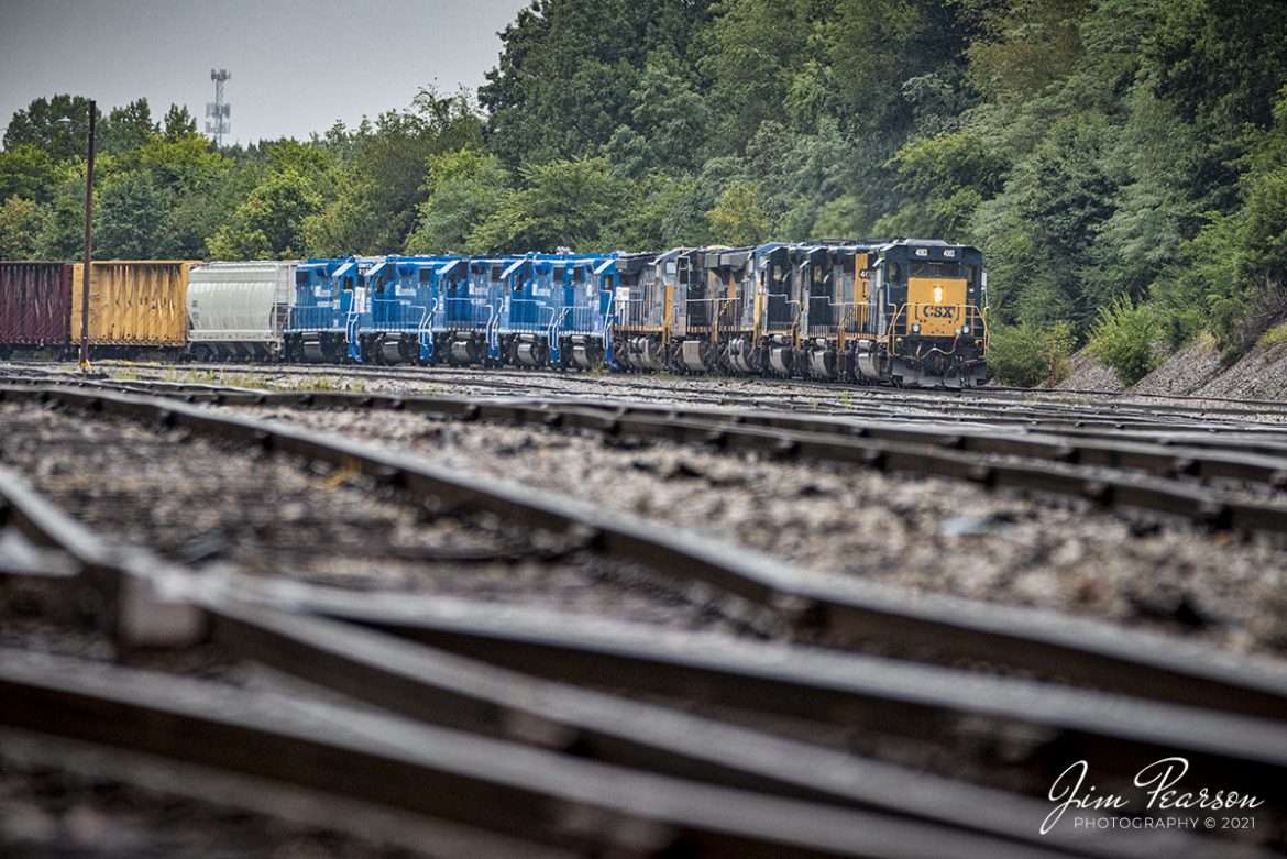 CSX J732 with CSXT 4083, 4049, 4384, 278, 749, 7231, GMTX 2149, 2135, 2201, 2152 and 2151 departs CSX Atkinson Yard in Madisonville, Kentucky as it begins its return trip on the Henderson Subdivision to CSX Casky yard at Hopkinsville, KY after finishing its work at Madisonville. 

While an impressive power move for a local being pulled by SD40s, the lead three engines were the only ones running as they departed the empty south end at Atkinson on September 19th, 2021.

Tech Info: Nikon D800, RAW, Sigma 150-600 @ 340mm, f/5.6, 1/640, ISO 640.

#trainphotography #railroadphotography #trains #railways #jimpearsonphotography #trainphotographer #railroadphotographer