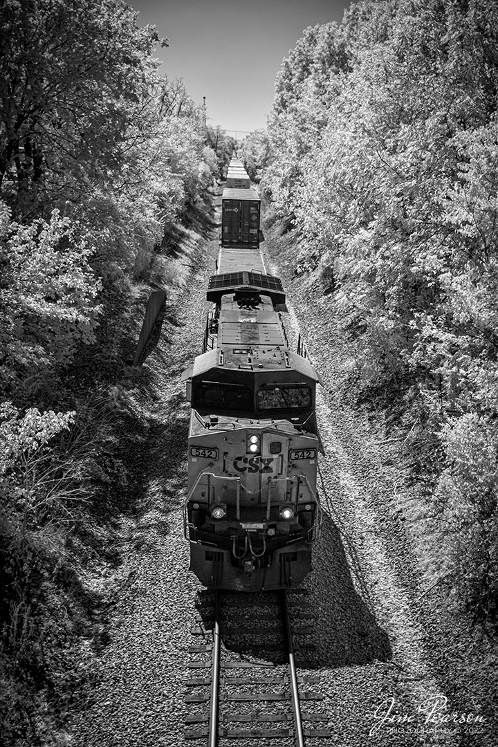 In today’s Infrared view we find CSXT 542 leading Intermodal I028 as it approaches the north Main Street Overpass at Madisonville, KY on October 10th, 2022, as it heads north on the Henderson Subdivision.

Tech Info: Fuji XT-1, RAW, Converted to 720nm B&W IR, Nikon 10-24 @ 24mm, f/4.5, 1/500, ISO 200.

#trainphotography #railroadphotography #trains #railways #jimpearsonphotography #infraredtrainphotography #infraredphotography #trainphotographer