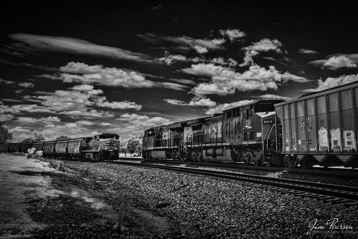 This week's Saturday Infrared photo is of CSXT 981 leading a southbound loaded coal train as they meet a northbound empty grain train at Kelly, Ky, on the Henderson Subdivision on May 29th, 2023.

Tech Info: Fuji XT-1, RAW, Converted to 720nm B&W IR, Nikon 10-24 @14mm, f/4, 1/1000, ISO 200.

#trainphotography #railroadphotography #trains #railways #jimpearsonphotography #infraredtrainphotography #infraredphotography #trainphotographer #railroadphotographer #CSXRailorad #KellyKy