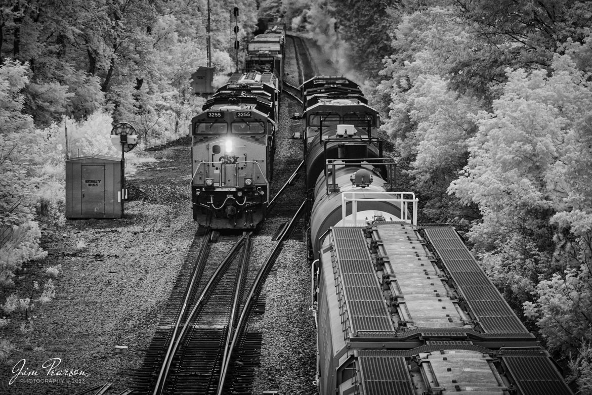 This weeks Saturday Infrared photo is of a meet between M648, left, and L391, as they pass each other at the crossover at Nortonville, Ky, on the Henderson Subdivision on August 3rd, 2023.

Tech Info: Fuji XT-1, RAW, Converted to 720nm B&W IR, Nikon 70-300 @ 70mm, f/4.5, 1/180, ISO 200.

#trainphotography #railroadphotography #trains #railways #jimpearsonphotography #infraredtrainphotography #infraredphotography #trainphotographer #railroadphotographer #CSXRailorad #NortonvilleKy