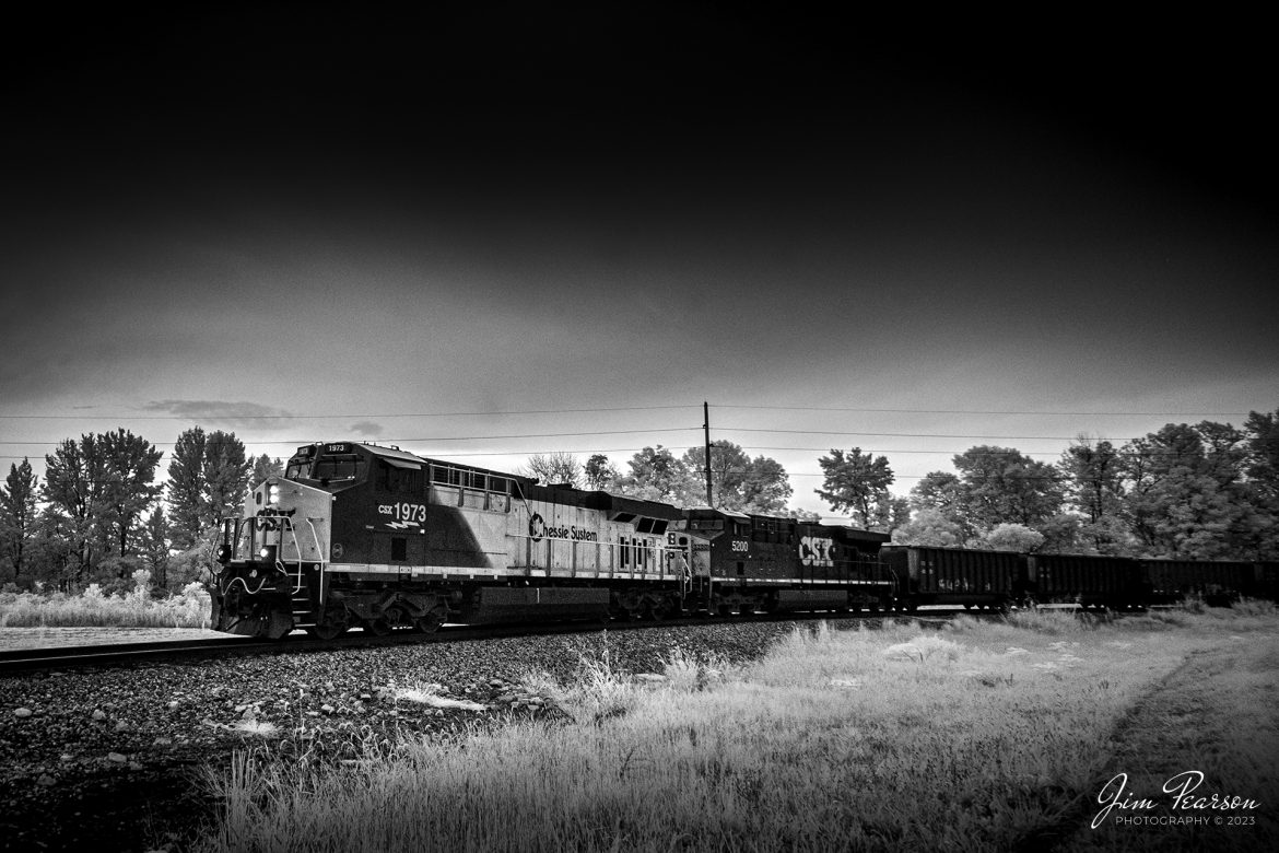 In this weeks Saturday Infrared photo, CSX Chessie System Heritage unit, 1973, heads down the Pee Vee Spur at Madisonville, Ky, to connect to the Warrior lead, as it heads up CSX R592 on their way to the Warrior Coal mine load out, outside Nebo, Ky on August 19th, 2023.

Tech Info: Fuji XT-1, RAW, Converted to 720nm B&W IR, Nikon 10-24 @ 11mm, f/5.6, 1/300, ISO 400.

#trainphotography #railroadphotography #trains #railways #jimpearsonphotography #infraredtrainphotography #infraredphotography #trainphotographer #railroadphotographer #CSXRailorad #MadisonvilleKy #CSXChessieSystem #CSXHeritageUnit #coaltrain