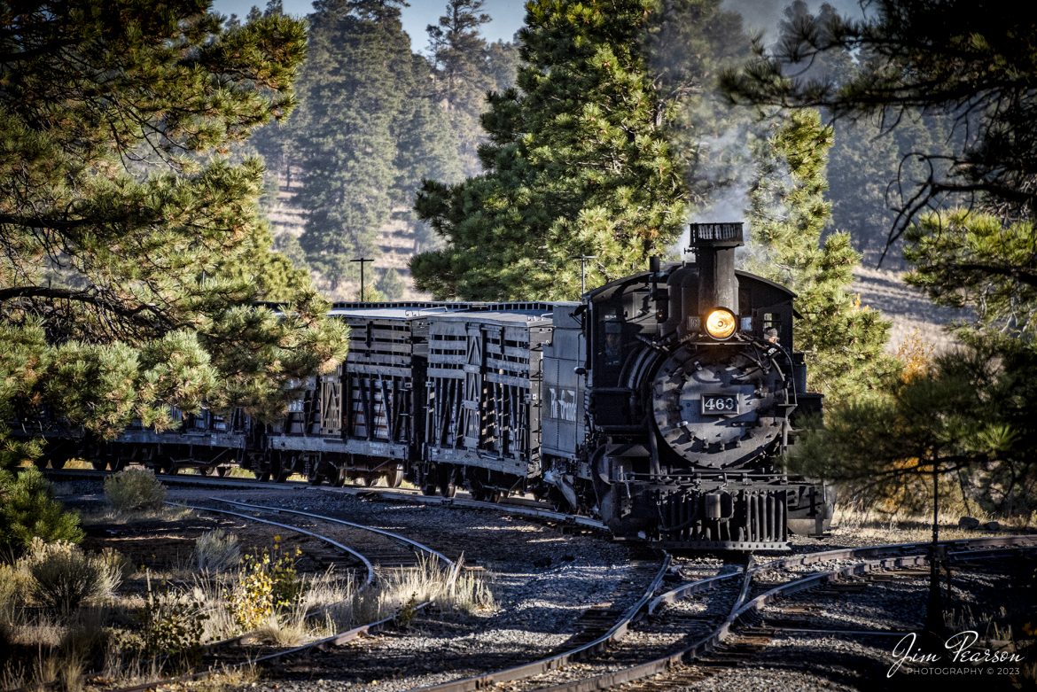 On October 19th, 2023, the crew on Denver and Rio Grande Western 463 rounds a curve with a freight train at the Big Horn Wye during a recent photo charter, between Antonito and Osier, Colorado.

According to History Colorado Website: Built in 1903 by the Baldwin Locomotive Works of Philadelphia, Engine No. 463 is one of only two remaining locomotives of the K-27 series originally built for and operated by the Denver & Rio Grande Western Railroad.

The K-27 series was a departure from the design most prevalent on Colorado’s narrow-gauge lines, resulting in a locomotive with one and one-half times more power.  The arrival of this series marked a significant turning point in the operation of the D&RGW’s narrow gauge lines that was to remain in effect until the end of Class I narrow gauge steam locomotion in 1968.  The Friends of the Cumbres & Toltec Scenic Railroad restored the engine to operating condition.

Tech Info: Nikon D810, RAW, Nikon 70-300 @ 95mm, f/4.5, 1/2000, ISO 200.

#railroad #railroads #train #trains #bestphoto #railroadengines #picturesoftrains #picturesofrailway #bestphotograph #photographyoftrains #trainphotography #JimPearsonPhotography #cumbresandtoltecrailroad