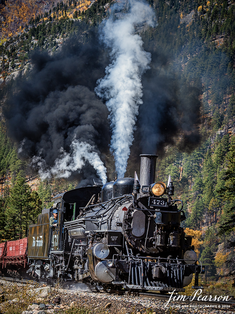 The engineer keeps a watchful eye on the track ahead as Durango and Silverton Narrow Gauge steam locomotive D&RGW 473 leads a K-28 100th Anniversary Special as they head through the curve at Goblin Fire, Milepost 480.5, between Durango and Silverton, Colorado, on October 16th, 2023.

According to Wikipedia: The Durango and Silverton Narrow Gauge Railroad, often abbreviated as the D&SNG, is a 3 ft (914 mm) narrow-gauge heritage railroad that operates on 45.2 mi (72.7 km) of track between Durango and Silverton, in the U.S. state of Colorado. The railway is a federally designated National Historic Landmark and was also designated by the American Society of Civil Engineers as a National Historic Civil Engineering Landmark in 1968.

Tech Info: Nikon D810, RAW, Sigma 24-70 @ 70mm, f/5.6, 1/800, ISO 110.

#railroad #railroads #train #trains #bestphoto #railroadengines #picturesoftrains #picturesofrailway #bestphotograph #photographyoftrains #trainphotography #JimPearsonPhotography #durangoandsilvertonrailroad #trending