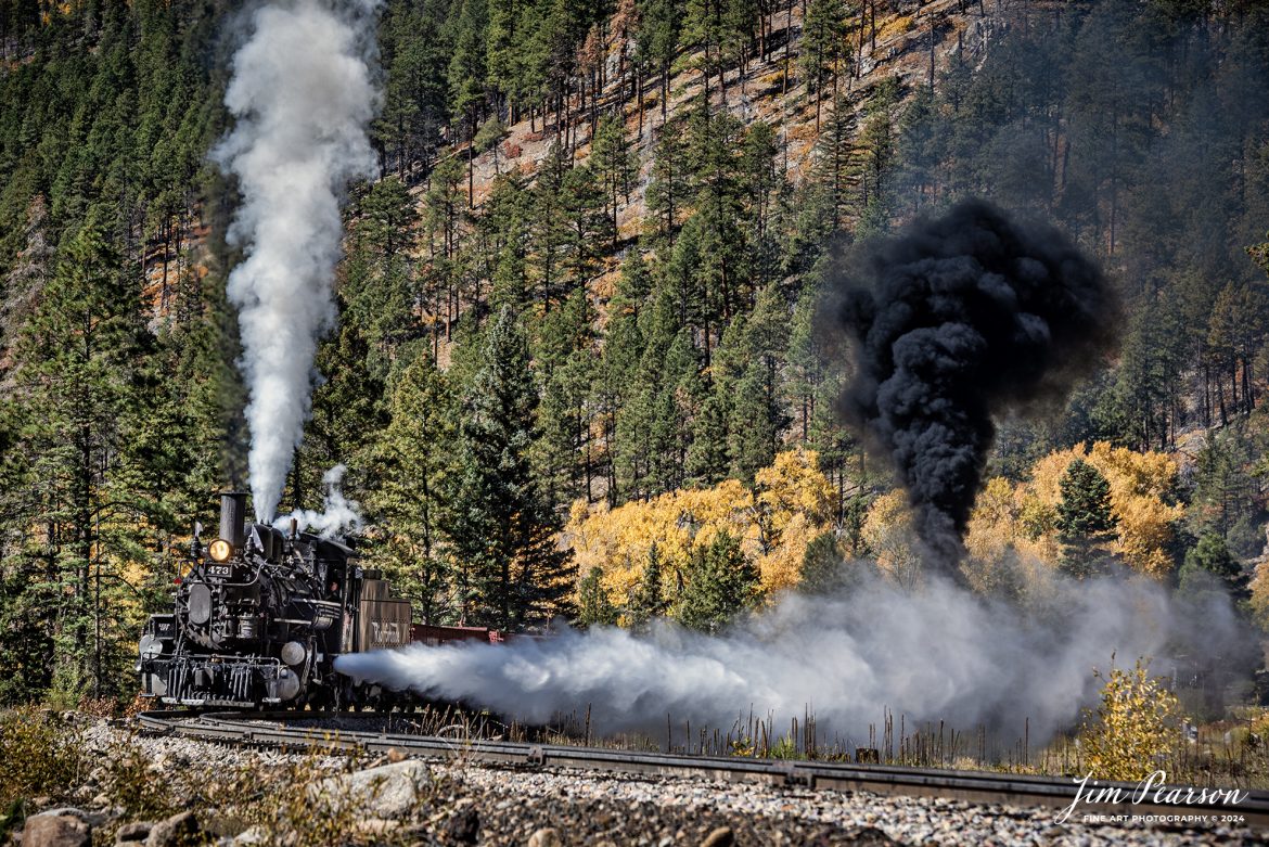 Durango and Silverton Narrow Gauge steam locomotive D&RGW 473 does a blow-out on a K-28 100th Anniversary Special as they head through the curve at Goblin Fire, Milepost 480.5, between Durango and Silverton, Colorado, on October 16th, 2023, with mid-train helper D&RGW 476.

According to Wikipedia: The Durango and Silverton Narrow Gauge Railroad, often abbreviated as the D&SNG, is a 3 ft (914 mm) narrow-gauge heritage railroad that operates on 45.2 mi (72.7 km) of track between Durango and Silverton, in the U.S. state of Colorado. The railway is a federally designated National Historic Landmark and was also designated by the American Society of Civil Engineers as a National Historic Civil Engineering Landmark in 1968.

Tech Info: Nikon D810, RAW, Nikon 70-300 @ 98mm, f/5.6, 1/800, ISO 160.

#railroad #railroads #train, #trains #bestphoto #soldphoto #railway #railway #soldtrainphotos #steamtrains #railtransport #railroadengines #picturesoftrains #picturesofrailways #besttrainphotograph #bestphoto #photographyoftrains #steamtrainphotography #soldpicture #bestsoldpicture #JimPearsonPhotography #DurangoandSilvertonRailroad
