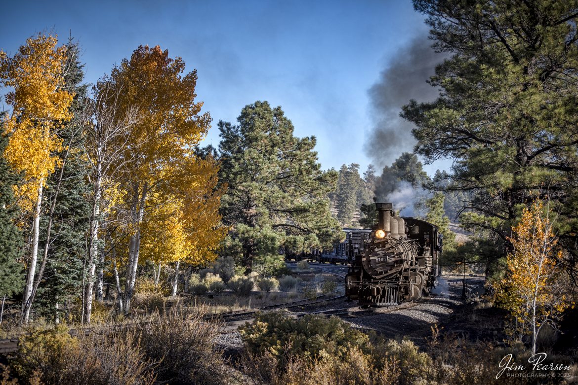 On October 19th, 2023, the crew on Denver and Rio Grande Western 463 rounds a curve with a freight train at the Big Horn Wye during a recent photo charter, between Antonito and Osier, Colorado.

According to History Colorado Website: Built in 1903 by the Baldwin Locomotive Works of Philadelphia, Engine No. 463 is one of only two remaining locomotives of the K-27 series originally built for and operated by the Denver & Rio Grande Western Railroad.

The K-27 series was a departure from the design most prevalent on Colorado’s narrow-gauge lines, resulting in a locomotive with one and one-half times more power.  The arrival of this series marked a significant turning point in the operation of the D&RGW’s narrow gauge lines that was to remain in effect until the end of Class I narrow gauge steam locomotion in 1968.  The Friends of the Cumbres & Toltec Scenic Railroad restored the engine to operating condition.

Tech Info: Nikon D810, RAW, Nikon 70-300 @ 95mm, f/4.5, 1/2000, ISO 200.

#railroad #railroads #train #trains #bestphoto #railroadengines #picturesoftrains #picturesofrailway #bestphotograph #photographyoftrains #trainphotography #JimPearsonPhotography #cumbresandtoltecrailroad #trending