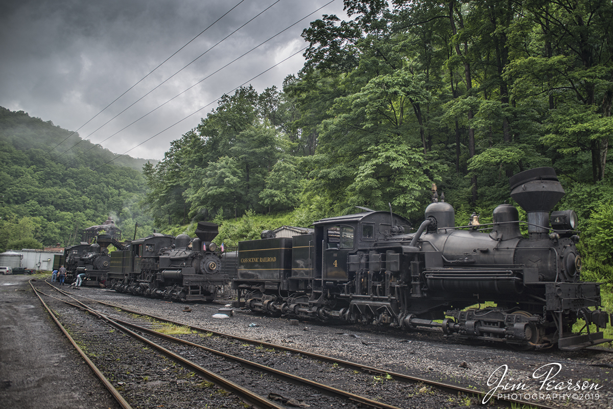 WEB-05.27.19 Cass Shays in the yard 1, Cass, WV