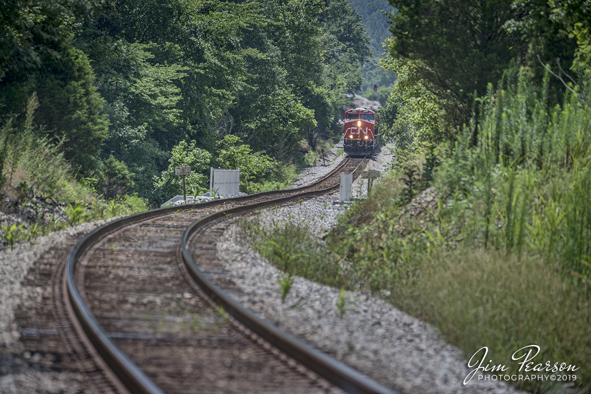 July 19, 2019 - Canadian National 3880 leads CSX empty grain train, V240-17 up the grade out of Mortons Gap, Kentucky as it heads north on the Henderson Subdivision.