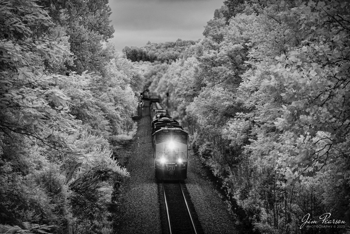 In this weeks Saturday Infrared photo, I caught the daily local, CSX L391, as it headed south between Mannington and Crofton, Ky, on the Henderson Subdivision on August 3rd, 2023. This train runs daily between Casky Yard in Hopkinsville and Atkinson Yard in Madisonville, Ky

Tech Info: Fuji XT-1, RAW, Converted to 720nm B&W IR, Nikon 70-300 @ 70mm, f/4.5, 1/180, ISO 200.

#trainphotography #railroadphotography #trains #railways #jimpearsonphotography #infraredtrainphotography #infraredphotography #trainphotographer