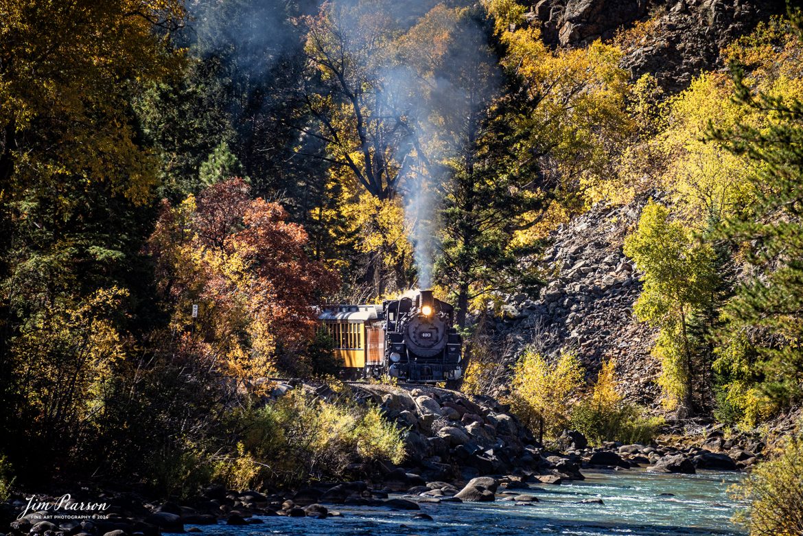 Denver and Rio Grande Western 493 rounds a curve with a passenger train at milepost 472, approaching Tacoma, Colorado on the Durango and Silverton Narrow Gauge Railroad, on October 16th, 2023.

According to Wikipedia: On May 4, 2016, the D&SNG, in cooperation with the Colorado Railroad Museum, transported locomotive #493 to Durango after resting in Silverton for almost 20 years with the plan of having the museum transport it to Golden, Colorado and have it restored as well. However, after plans with the museum fell through, the D&SNG decided to undertake the restoration of #493 themselves. 

In the restoration process of #493 however, the locomotive was converted to oil-burning, making it the very first former D&RGW 2-8-2 to be converted to oil-burning instead of coal-burning, the next one being K-28 class #473.[7] On January 24, 2020, #493 moved under its own power for the first time in over 50 years, making it the first D&RGW K-37 class since #497 to run on the D&SNG. #493 then ran its first revenue run on the D&SNG on February 14, 2020.


Tech Info: Nikon D810, RAW, Nikon 70-300 @ 240mm, f/5.6, 1/1000, ISO 400.

#railroad #railroads #train #trains #bestphoto #railroadengines #picturesoftrains #picturesofrailway #bestphotograph #photographyoftrains #trainphotography #JimPearsonPhotography #durangoandsilvertonrailroad