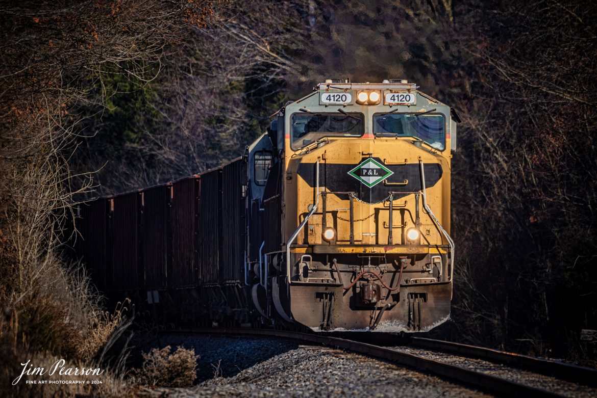 Paducah and Louisville Railway (PAL) locomotive 4120, ex UP 4120, pulls the daily local back south toward Princeton, Ky as it pulls through Richland, Ky, on January 31st, 2024. The unit is one of several Union Pacific engines that PAL recently acquired and unit they get their time in the paint shop, sport the PAL logo on the nose and side. With the paint over the UP herald, it looks like the engines have a mustache to me. 


Tech Info: Nikon D810, RAW, Sigma 150-600 @ 600mm, f/6.3, 1/500, ISO 90.

#trainphotography #railroadphotography #trains #railways #trainphotographer #railroadphotographer #jimpearsonphotography #NikonD810 #KentuckyTrains #pal #trending