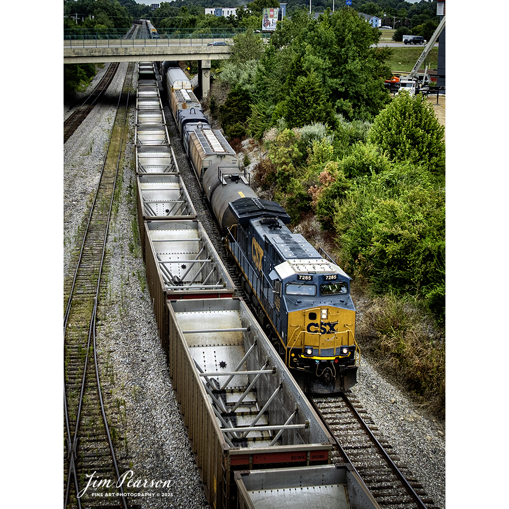CSXT 7265 leads CSX M513 as it rolls south past empty coal train E904 at Atkinson Yard at Madisonville, Ky, on August 21st, 2025, on the CSX Henderson Subdivision.

Tech Info: DJI Mavic 3 Classic Drone, RAW, 22mm, f/2.8, 1/1250, ISO 110

#railroad #railroads #train, #trains #railway #railway #steamtrains #railtransport #railroadengines #picturesoftrains #picturesofrailways #besttrainphotograph #bestphoto #photographyoftrains #bestsoldpicture #JimPearsonPhotography #trainsfromtheair #trainsfromadrone #onecsx #csx