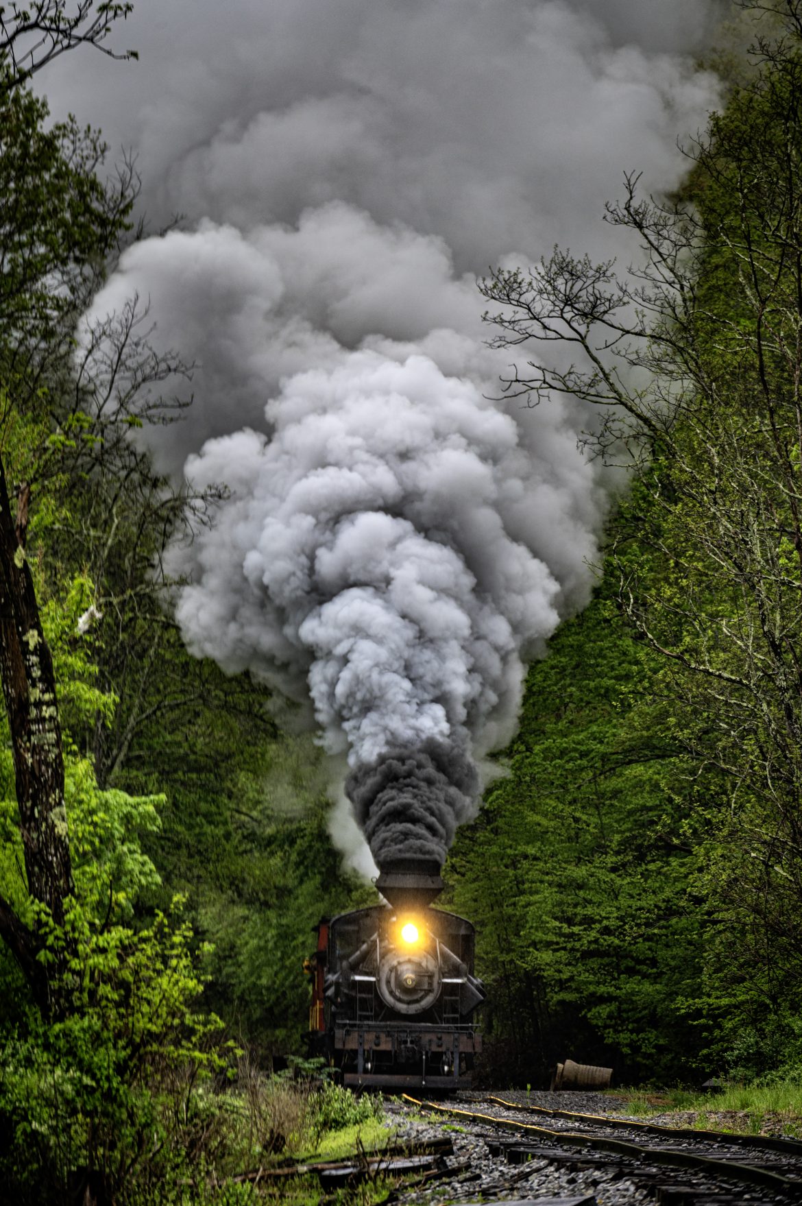 Engineer Noah Barkley keeps a watchful eye on the track ahead from Cass Scenic Railway Heisler #6 as they pull through the countryside at Wanless on the way to Durban, West Virginia, during the Cass Spring Photographers Special, from Cass, West Virginia on May 4th, 2025. 

According to the Mountain Rail West Virginia Website: The Meadow River Lumber No. 6 was built by the Heisler Locomotive Works in Erie, PA, in 1929 for the Bostonia Coal & Clay Products Company of New Bethlehem, PA.

The Heisler was sold to the Meadow River Lumber Company at Rainelle, WV in 1939, where it was rostered as No. 6. She retired from the lumber company in 1965 and was purchased by the purchased it by the state of West Virginia purchased. The engine ran under its own steam from Rainelle to its new home in Cass in December 1966. No. 6 would begin operating on the railroad in 1968. The Heisler is the fastest geared locomotive in the Cass collection.

Tech Info: Nikon Z6ii, RAW, Nikon 70-300 @ 300mm, f/5.6, 1/160, ISO 250.

#railroad #railroads #train, #trains #railway #railway #railtransport #railroadengines #picturesoftrains #picturesofrailways #besttrainphotograph #bestphoto #photographyoftrains #bestsoldpicture #JimPearsonPhotography #steamtrain #casssenicrailway