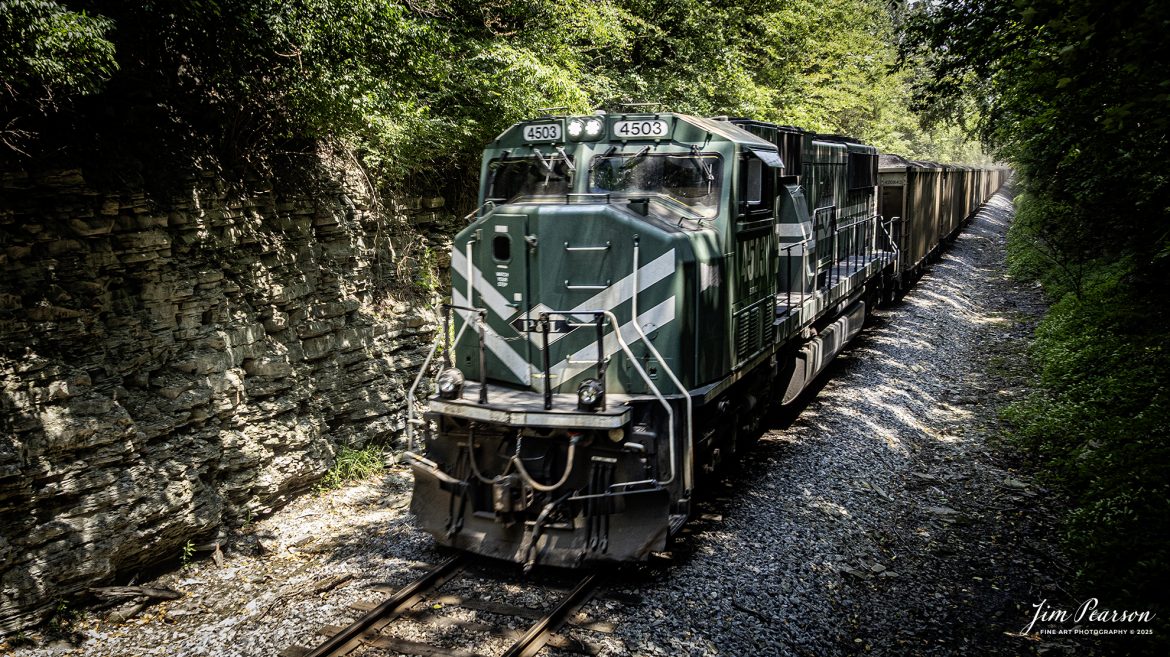 Paducah and Louisville Railway 4503 locomotive brings up the rear as DPU on the Louisville Gas and Electric loaded coal train headed north as it passes under the Grapevine Road in Madisonville, Kentucky, on July 30th, 2025.

Tech Info: DJI Mavic 3 Classic Drone, RAW, 22mm, f/2.8, 1/200, ISO 180.

#railroad #railroads #train, #trains #railway #railway #steamtrains #railtransport #railroadengines #picturesoftrains #picturesofrailways #besttrainphotograph #bestphoto #photographyoftrains #bestsoldpicture #JimPearsonPhotography #trainsfromtheair #trainsfromadrone #paducahandlouisvillerailway #pal