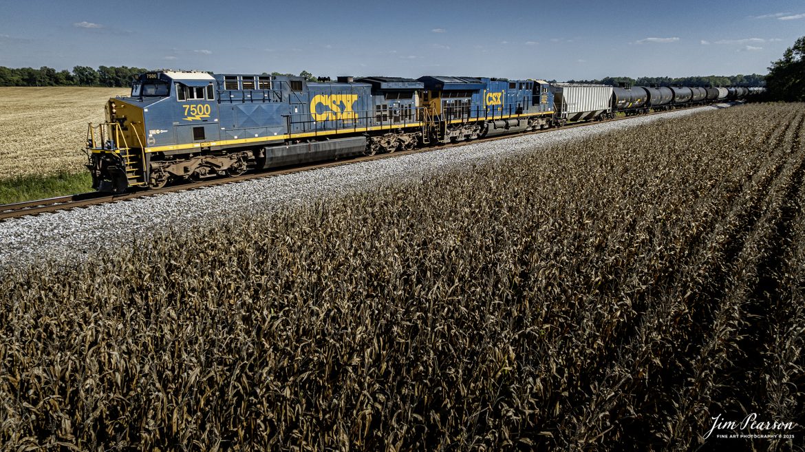CSXT 7500 and 3272 lead empty ethanol train B796 northbound past a field of corn ready for harvest, at Rankin, Kentucky on September 30th, 2025, on the CSX Henderson Subdivision. This train runs between Tampa, FL and Linden, IN.

Tech Info: DJI Mavic 3 Classic Drone, RAW, 22mm, f/2.8, 1/2000, ISO 120

#railroad #railroads #train, #trains #railway #railway #railtransport #railroadengines #picturesoftrains #picturesofrailways #besttrainphotograph #bestphoto #photographyoftrains #bestsoldpicture #JimPearsonPhotography #trainsfromtheair #trainsfromadrone #onecsx #csx